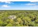 Aerial view of house, pool, and surrounding lush landscape at 6775 Timberland Ln, Sarasota, FL 34241
