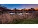 Sunset view of a serene pond with tall grasses in the foreground at 2156 Masters Ct # 2156, Dunedin, FL 34698