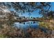 Serene pond view with lush greenery and tree reflections at 2156 Masters Ct # 2156, Dunedin, FL 34698