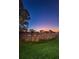 Night view of a pond with tall grasses under a vibrant sunset sky at 2156 Masters Ct # 2156, Dunedin, FL 34698