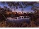 Serene sunset reflected on calm waters, framed by trees at 2156 Masters Ct # 2156, Dunedin, FL 34698