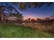 Peaceful sunset over a tranquil pond with tall grasses at 2156 Masters Ct # 2156, Dunedin, FL 34698