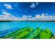 Green and blue kayaks on the crystal-clear water at 8367 Ender Hills Dr, Wesley Chapel, FL 33545