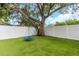 Well-maintained backyard featuring a large tree with a swing and a white vinyl fence at 733 1/2 New Jersey St, Clearwater, FL 33756