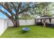 Landscaped backyard with synthetic grass, a gazebo, and a tree swing under a large tree at 733 1/2 New Jersey St, Clearwater, FL 33756