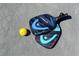 Two pickleball paddles and ball on court at 36750 Us Highway 19 N # 05102, Palm Harbor, FL 34684