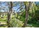 Wooded backyard with lush greenery at 1900 Whispering Way, Tarpon Springs, FL 34689