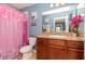Clean bathroom with a modern vanity and updated fixtures at 1307 Pasadena Bloom Ln, Ruskin, FL 33570