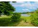 Landscaped backyard with lush greenery and a lake view at 1307 Pasadena Bloom Ln, Ruskin, FL 33570
