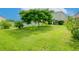Spacious backyard with a large tree and green grass at 1307 Pasadena Bloom Ln, Ruskin, FL 33570