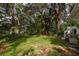 Backyard view showing plush green grass and lake access at 12318 Woodleigh Ave, Tampa, FL 33612