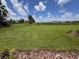 Expansive backyard with lush green grass, ample space for activities, and a peaceful view, perfect for relaxing at 4303 Pullet Ct, Lakewood Ranch, FL 34211