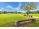 Golf course with a park bench overlooking the fairway at 2358 Ecuadorian Way # 56, Clearwater, FL 33763