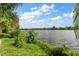 Serene waterfront view with lush green landscaping at 11302 Southwind Lake Dr, Gibsonton, FL 33534