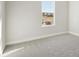 Cozy bedroom featuring plush gray carpeting, neutral paint, and a bright window view at 12977 Long Valley Cir, Spring Hill, FL 34609