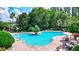 Freeform pool with patio furniture and lush landscaping at 7806 Grasmere Dr, Land O Lakes, FL 34637