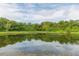 Serene pond with lush green vegetation surrounding it at 1908 Sterling Glen Ct, Sun City Center, FL 33573