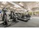 Well-equipped fitness center with various cardio machines at 17104 Carrington Park Dr # 520, Tampa, FL 33647