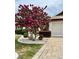 Landscaped front yard featuring a blooming crepe myrtle and paved walkway at 739 Winterbrooke Way, Sun City Center, FL 33573