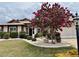 Charming home with a well-manicured lawn, blooming tree, and inviting entrance at 739 Winterbrooke Way, Sun City Center, FL 33573