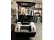 Rear view of a white golf cart with a black top at 739 Winterbrooke Way, Sun City Center, FL 33573