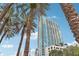 Highrise building viewed from below, palm trees in foreground at 777 N Ashley Dr # 1606, Tampa, FL 33602