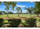 Picturesque golf course with bright blue skies, lush green grass, and mature trees providing a serene backdrop at 9 Pelican Pl, Belleair, FL 33756