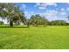 Large backyard with lush grass and oak trees at 1905 Masters Way, Plant City, FL 33566
