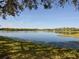 Scenic view of a tranquil lake with lush greenery at 11790 Fennemore Way, Parrish, FL 34219