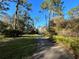 Scenic walking path winds through lush greenery and mature trees on a sunny day at 4251 Preserve Pl, Palm Harbor, FL 34685