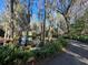 A peaceful walking path through lush greenery and trees, with water on one side at 4251 Preserve Pl, Palm Harbor, FL 34685