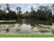 Tranquil pond view with trees and vegetation at 12026 Boynton Ln # Gb32, New Port Richey, FL 34654