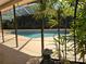 Inviting swimming pool with a surrounding patio at 3582 Fairway Forest Dr, Palm Harbor, FL 34685