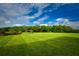 Expansive green lawn by a pond, under a blue sky at 6450 Shoreline Dr # 9405, St Petersburg, FL 33708