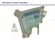 Site plan showing the layout of townhomes within the community at 31564 Woodland Race Loop, Wesley Chapel, FL 33545