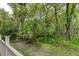 Landscaped backyard with lush vegetation at 15215 Amberly Dr # 206, Tampa, FL 33647