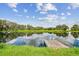 Wooden dock on a calm lake with lush greenery at 4411 Hawksley Pl, Wesley Chapel, FL 33545