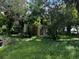 Overgrown backyard surrounds the home, trees and vegetation present at 4206 Durant Rd, Valrico, FL 33596