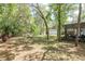 Backyard with shed, screened porch, and lush greenery at 10542 Helena St, New Port Richey, FL 34654