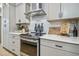 Well-equipped kitchen showcases sleek cabinetry, stainless steel appliances, and stylish backsplash for modern cooking at 281 Villa Corte Dr, Lutz, FL 33549