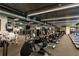 Well-equipped fitness center with various exercise machines at 705 Tremont Greens Ln # 33, Sun City Center, FL 33573