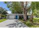 Ranch-style home with a gray exterior, blue door, and a large tree at 602 Lemonwood Dr, Oldsmar, FL 34677