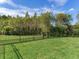 Large backyard with fenced enclosure and lush green grass at 31982 Bourneville Ter, Wesley Chapel, FL 33543