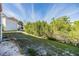 Backyard with a view of tropical foliage at 621 99Th N Ave # 102, St Petersburg, FL 33702