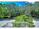 View from deck showing lush green trees and neighboring houses at 262 Banana Rd, Palm Harbor, FL 34683