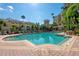 Refreshing community pool surrounded by tropical foliage at 501 Knights Run Ave # 1215, Tampa, FL 33602