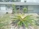 Landscaped front yard with mature plants at 3118 Palm Ct, Dunedin, FL 34698