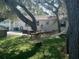 Relaxing backyard with a hammock under shady trees at 3118 Palm Ct, Dunedin, FL 34698