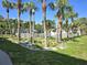 Community pool area with lush landscaping and palm trees at 346 Madeira Cir, St Petersburg, FL 33715
