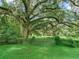 Picturesque view of a metal gate and large oak trees with Spanish moss at 7301 Pierce Harwell Rd, Plant City, FL 33565